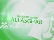 Hai Mera Naam Ali Asghar - Mir Hasan Mir Manqabat 2014-15